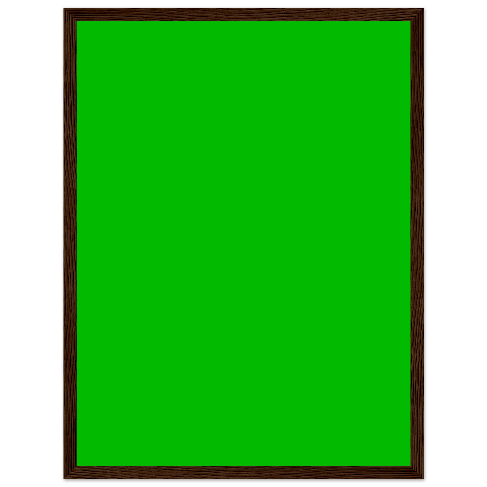 380254b4-571b-4ca0-9493-3896576f50fa