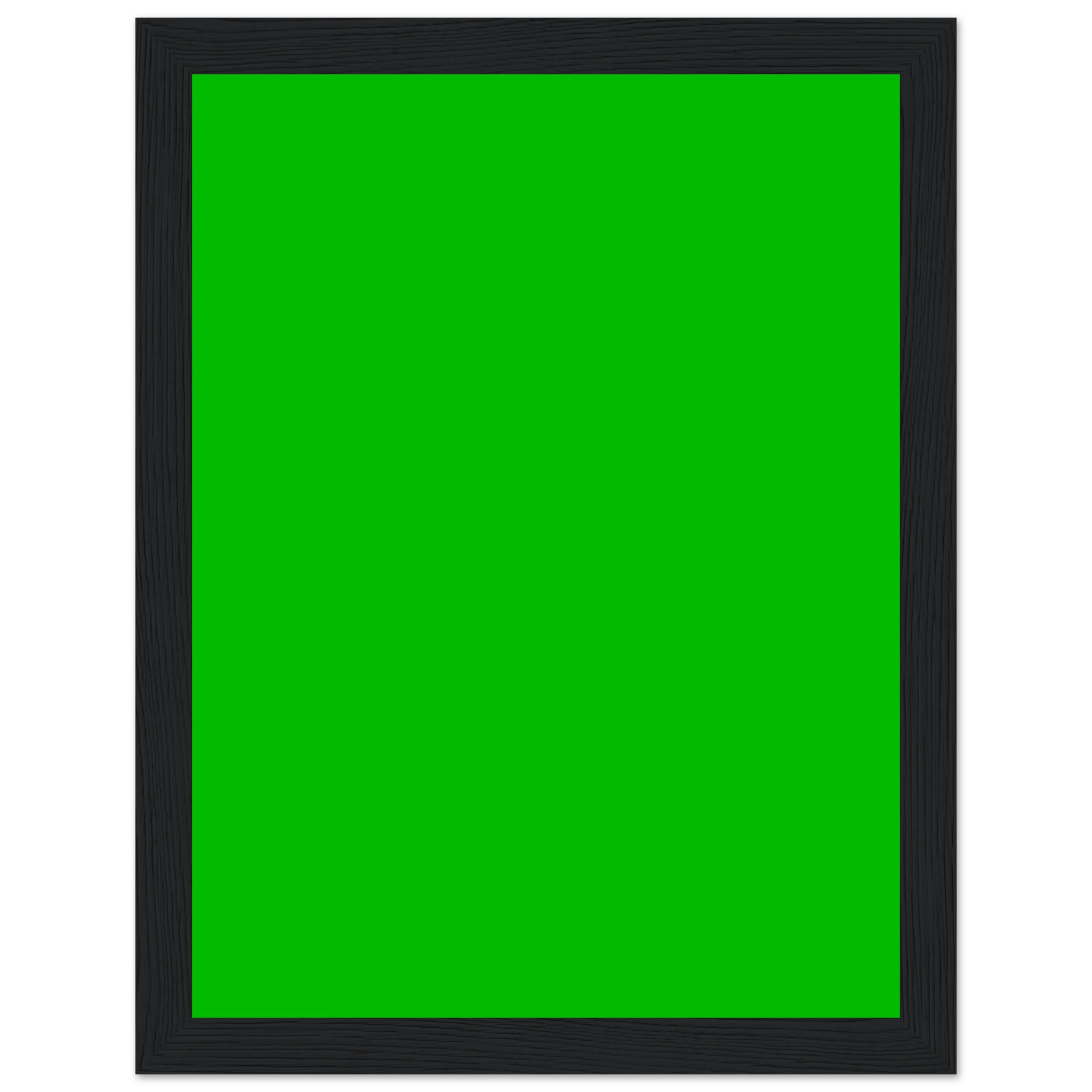 d44ac06c-42ee-404d-87d3-54382f287f78